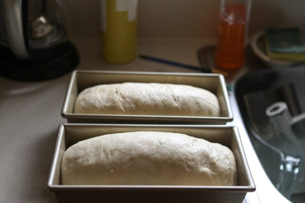 risen yeast dough.