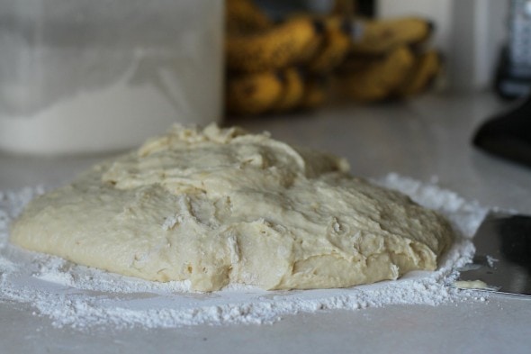 bread dough before kneading